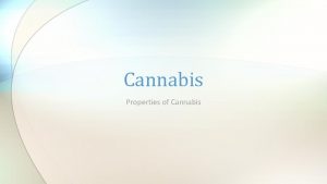 Cannabis Properties of Cannabis What is Cannabis Cannabis