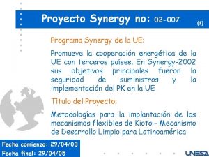 Proyecto Synergy no 02 007 Programa Synergy de