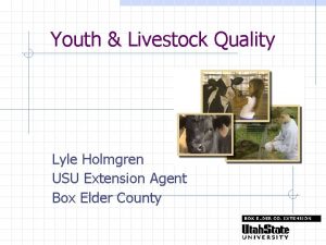 Youth Livestock Quality Lyle Holmgren USU Extension Agent