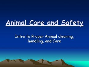 Animal Care and Safety Intro to Proper Animal