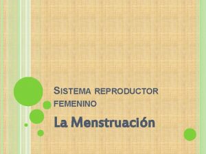 SISTEMA REPRODUCTOR FEMENINO La Menstruacin EL CICLO MENSTRUAL