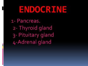 ENDOCRINE 1 Pancreas 2 Thyroid gland 3 Pituitary