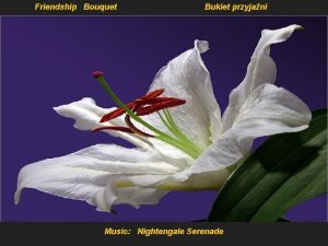 Friendship Bouquet Bukiet przyjani Music Nightengale Serenade To