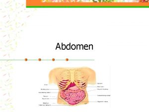 Abdomen Structure and Function n Borders of Abdominal