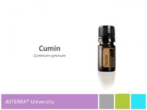 Cuminum cyminum dTERRA University dTERRA Product Tools Plant
