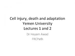 Cell injury death and adaptation Yemen University Lectures