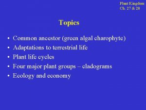 Plant Kingdom Ch 27 28 Topics Common ancestor