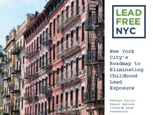 New York Citys Roadmap to Eliminating Childhood Lead
