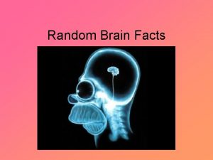 Random Brain Facts Random Brain Facts Weve learned