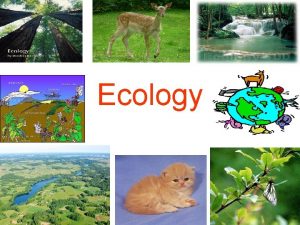 Ecology Whats Ecology Branch of biology that deals