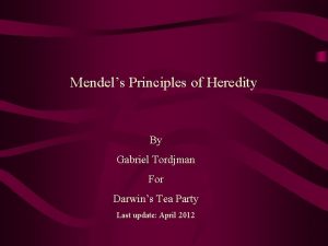 Mendels Principles of Heredity By Gabriel Tordjman For