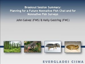 Breakout Session Summary Planning for a Future Nonnative