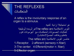 THE REFLEXES IIConditioned reflexes These are acquired reflexes