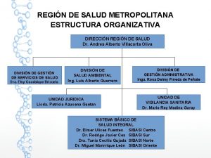 REGIN DE SALUD METROPOLITANA ESTRUCTURA ORGANIZATIVA DIRECCIN REGIN