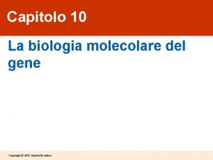 Capitolo 10 La biologia molecolare del gene Copyright