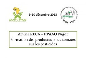 9 10 dcembre 2013 Atelier RECA PPAAO Niger