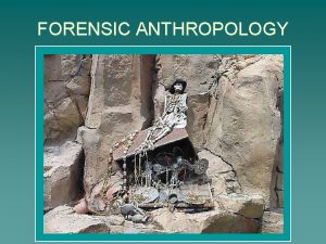 FORENSIC ANTHROPOLOGY FORENSIC ANTHROPOLOGY Hic locus est ubi