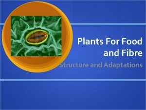 Plants For Food and Fibre Structure and Adaptations