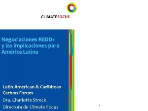 Negociaciones REDD y las implicaciones para Amrica Latin