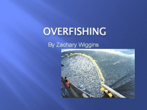 OVERFISHING By Zachary Wiggins Thesis Statement Overfishing is