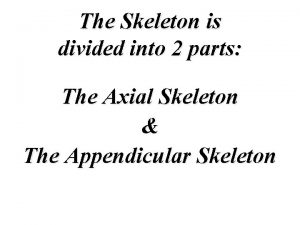 The Skeleton is divided into 2 parts The