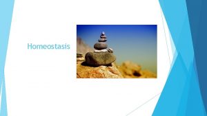 Homeostasis What is homeostasis According to MerriamWebster homeostasis
