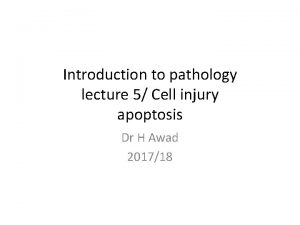 Introduction to pathology lecture 5 Cell injury apoptosis