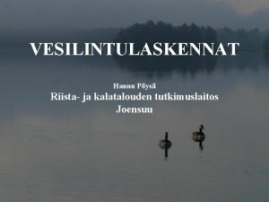 VESILINTULASKENNAT Hannu Pys Riista ja kalatalouden tutkimuslaitos Joensuu