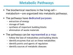 Metabolic Pathways The biochemical reactions in the living
