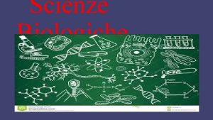 Scienze Biologiche I batteri sono organismi unicellulari molto