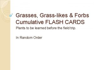 Grasses Grasslikes Forbs Cumulative FLASH CARDS Plants to