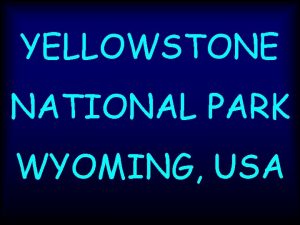 YELLOWSTONE NATIONAL PARK WYOMING USA Yellowstone National Park
