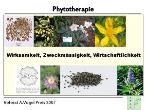 Phytotherapie Wirksamkeit Zweckmssigkeit Wirtschaftlichkeit Referat A Vogel Preis