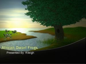 African Dwarf Frogs Presented By Rileigh African Dwarf