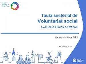 Taula sectorial de Voluntariat social Avaluaci i lnies