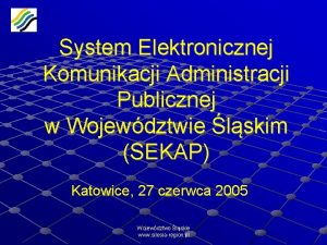 System Elektronicznej Komunikacji Administracji Publicznej w Wojewdztwie lskim