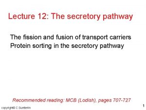 Lecture 12 The secretory pathway The fission and