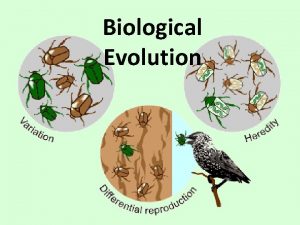 Biological Evolution What is Evolution Evolution is descent