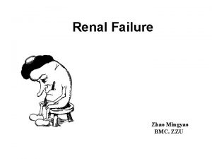 Renal Failure Zhao Mingyao BMC ZZU Function of