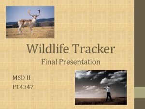 Wildlife Tracker Final Presentation MSD II P 14347