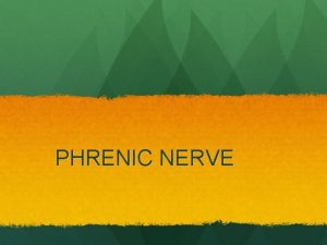 PHRENIC NERVE Definition A long term ventilatory assisted