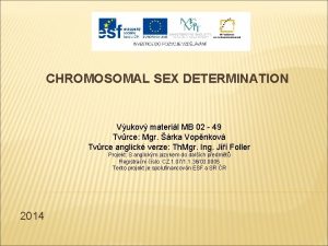 CHROMOSOMAL SEX DETERMINATION Vukov materil MB 02 49