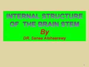 INTERNAL STRUCTURE OF THE BRAIN STEM By DR