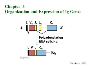 Chapter 5 Organization and Expression of Ig Genes