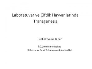 Laboratuvar ve iftlik Hayvanlarnda Transgenesis Prof Dr Sema