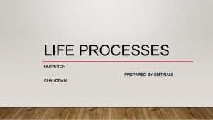 LIFE PROCESSES NUTRITION PREPARED BY SMT RANI CHANDRAN