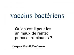 vaccins bactriens Quen estil pour les animaux de