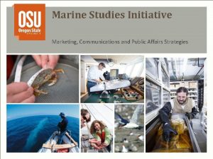 Marine Studies Initiative Marketing Communications and Public Affairs