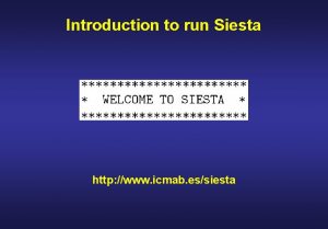 Introduction to run Siesta http www icmab essiesta