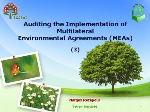 Auditing the Implementation of Multilateral Environmental Agreements MEAs